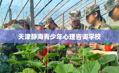 天津静海青少年心理咨询学校 天津静海青少年心理咨询学校