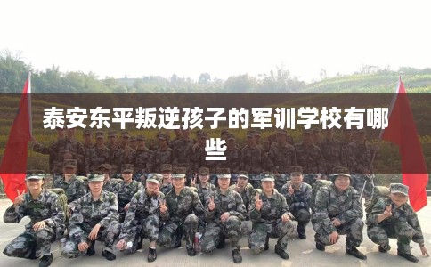 泰安东平叛逆孩子的军训学校有哪些