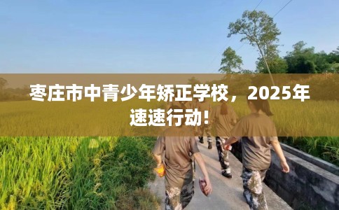 枣庄市中青少年矫正学校，2025年速速行动!