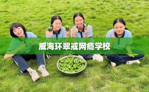 威海环翠戒网瘾学校
