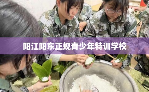 阳江阳东正规青少年特训学校