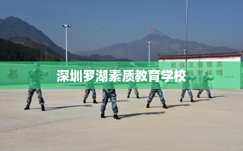 深圳罗湖素质教育学校