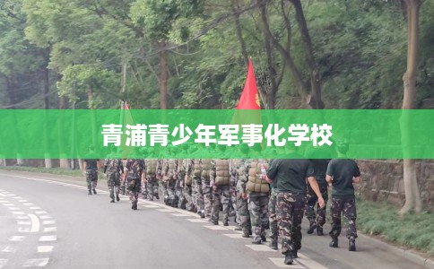 青浦青少年军事化学校