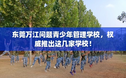 东莞万江问题青少年管理学校，权威推出这几家学校！