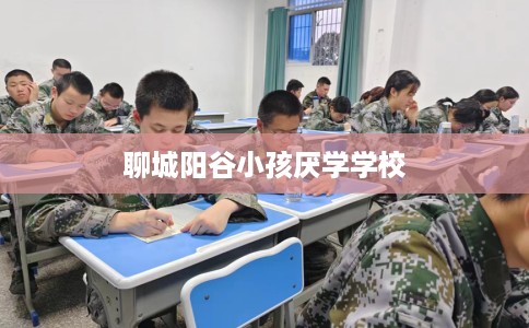 聊城阳谷小孩厌学学校