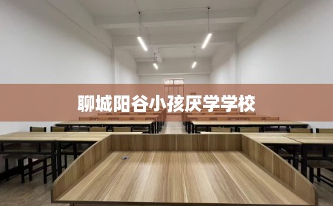 聊城阳谷小孩厌学学校