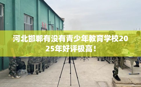 河北邯郸有没有青少年教育学校2025年好评极高！