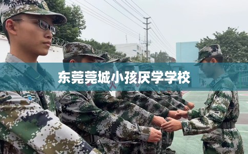 东莞莞城小孩厌学学校 东莞莞城小孩厌学学校