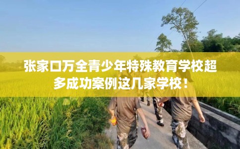 张家口万全青少年特殊教育学校超多成功案例这几家学校！