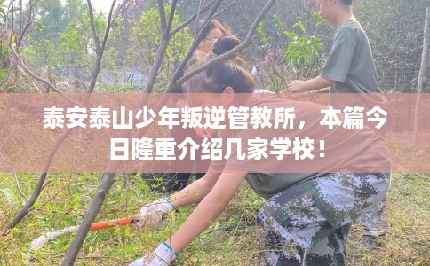 泰安泰山少年叛逆管教所，本篇今日隆重介绍几家学校！