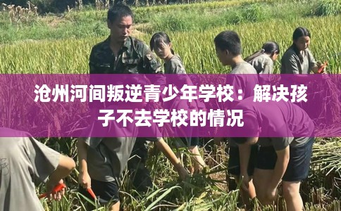 沧州河间叛逆青少年学校：解决孩子不去学校的情况