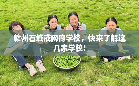 赣州石城戒网瘾学校，快来了解这几家学校!