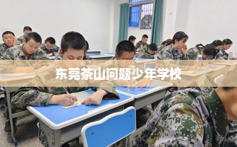 东莞茶山问题少年学校