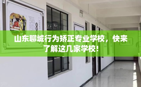 山东聊城行为矫正专业学校，快来了解这几家学校!