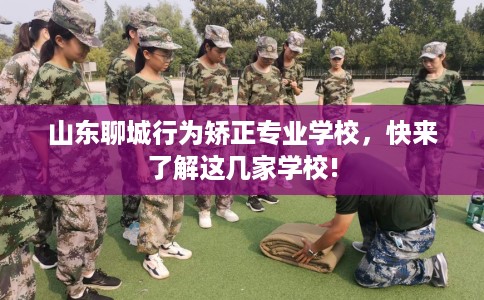 山东聊城行为矫正专业学校，快来了解这几家学校!