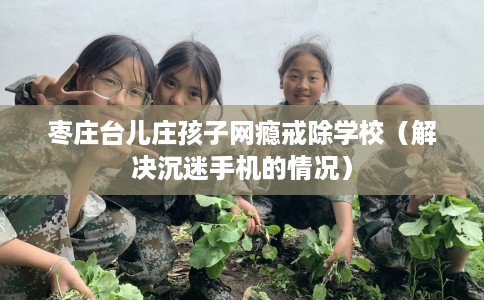 枣庄台儿庄孩子网瘾戒除学校（解决沉迷手机的情况）