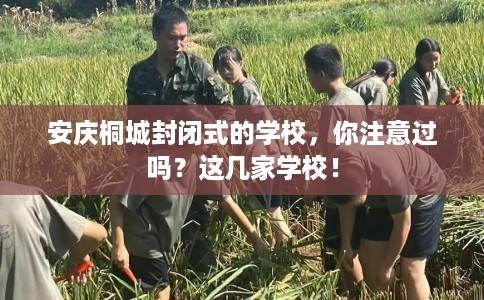 安庆桐城封闭式的学校，你注意过吗？这几家学校！