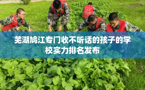 芜湖鸠江专门收不听话的孩子的学校实力排名发布