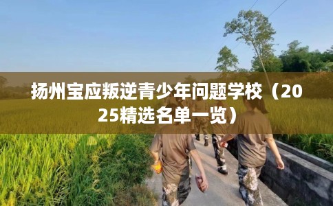 扬州宝应叛逆青少年问题学校（2025精选名单一览）