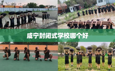 咸宁封闭式学校哪个好