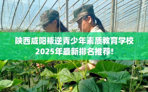 陕西咸阳叛逆青少年素质教育学校2025年最新排名推荐!