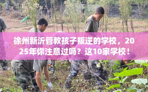 徐州新沂管教孩子叛逆的学校，2025年你注意过吗？这10家学校！