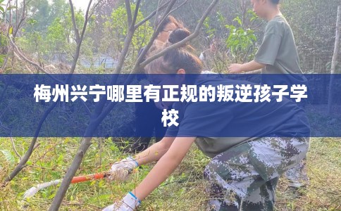 梅州兴宁哪里有正规的叛逆孩子学校