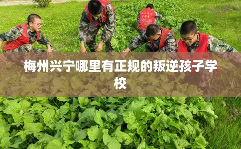 梅州兴宁哪里有正规的叛逆孩子学校
