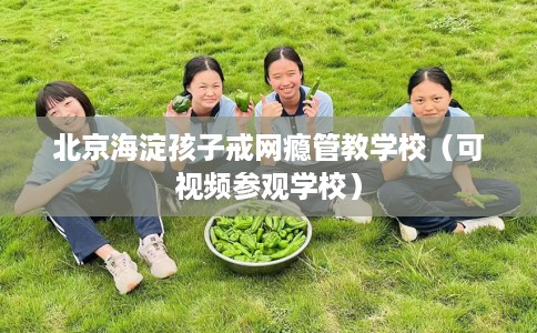 北京海淀孩子戒网瘾管教学校（可视频参观学校）