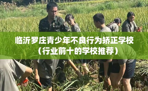 临沂罗庄青少年不良行为矫正学校（行业前十的学校推荐）