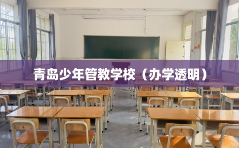 青岛少年管教学校（办学透明）