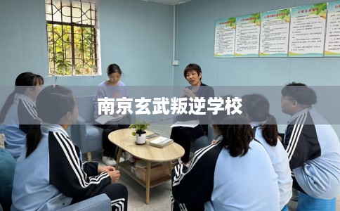 南京玄武叛逆学校