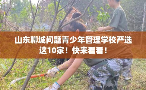 山东聊城问题青少年管理学校严选这10家！快来看看！