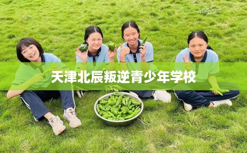 天津北辰叛逆青少年学校