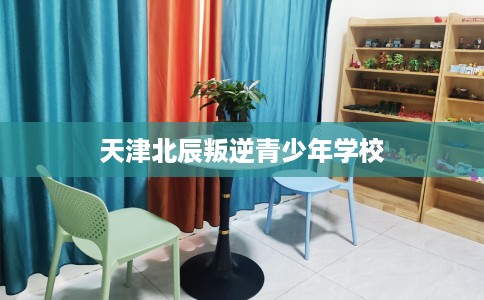 天津北辰叛逆青少年学校