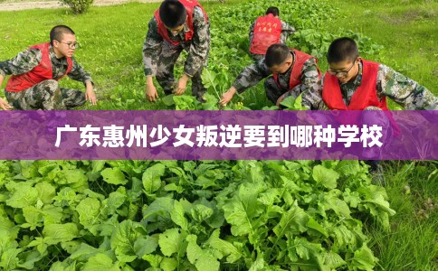 广东惠州少女叛逆要到哪种学校