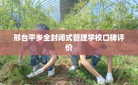 邢台平乡全封闭式管理学校口碑评价