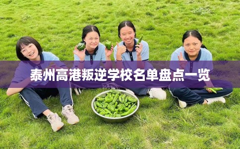 泰州高港叛逆学校名单盘点一览