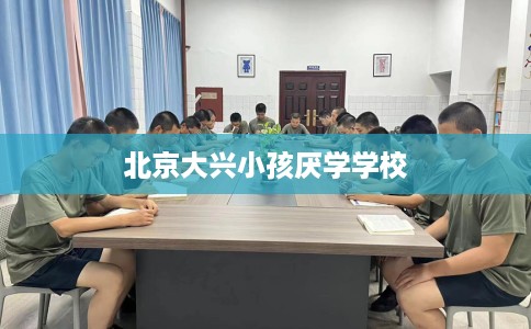 北京大兴小孩厌学学校