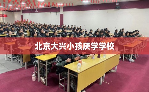 北京大兴小孩厌学学校