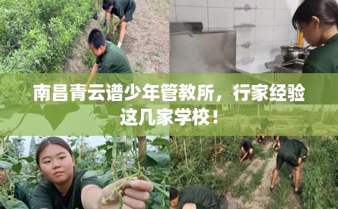 南昌青云谱少年管教所，行家经验这几家学校！