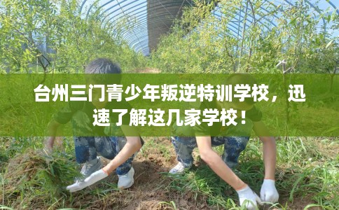 台州三门青少年叛逆特训学校，迅速了解这几家学校！