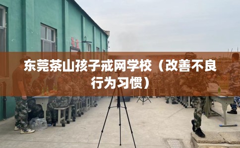 东莞茶山孩子戒网学校（改善不良行为习惯）