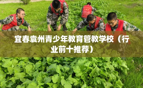 宜春袁州青少年教育管教学校（行业前十推荐）
