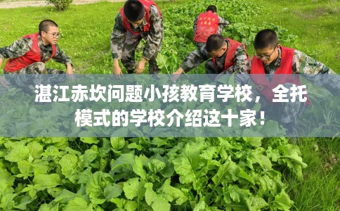 湛江赤坎问题小孩教育学校，全托模式的学校介绍这十家！