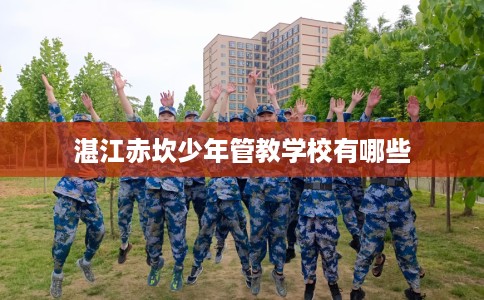 湛江赤坎少年管教学校有哪些