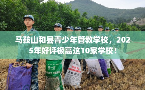 马鞍山和县青少年管教学校,2025年好评极高这10家学校! 马鞍山和县青少年管教学校,2025年好评极高这10家学校!