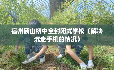 宿州砀山初中全封闭式学校（解决沉迷手机的情况）