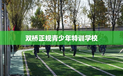 双桥正规青少年特训学校