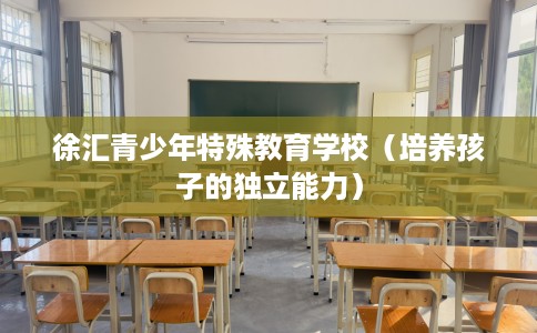 徐汇青少年特殊教育学校(培养孩子的独立能力) 徐汇青少年特殊教育学校(培养孩子的独立能力)